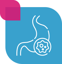 HPure4——<br>A 4-Strain Probiotic Blend for for Reducing the Risk of H. pylori Infection