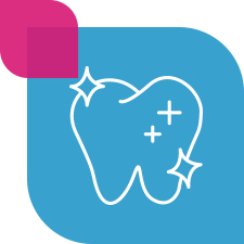 Ligilactobacillus salivarius ZM06——<br>Reducing the Risk of Dental Caries