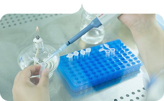 Tailored Probiotic Solutions